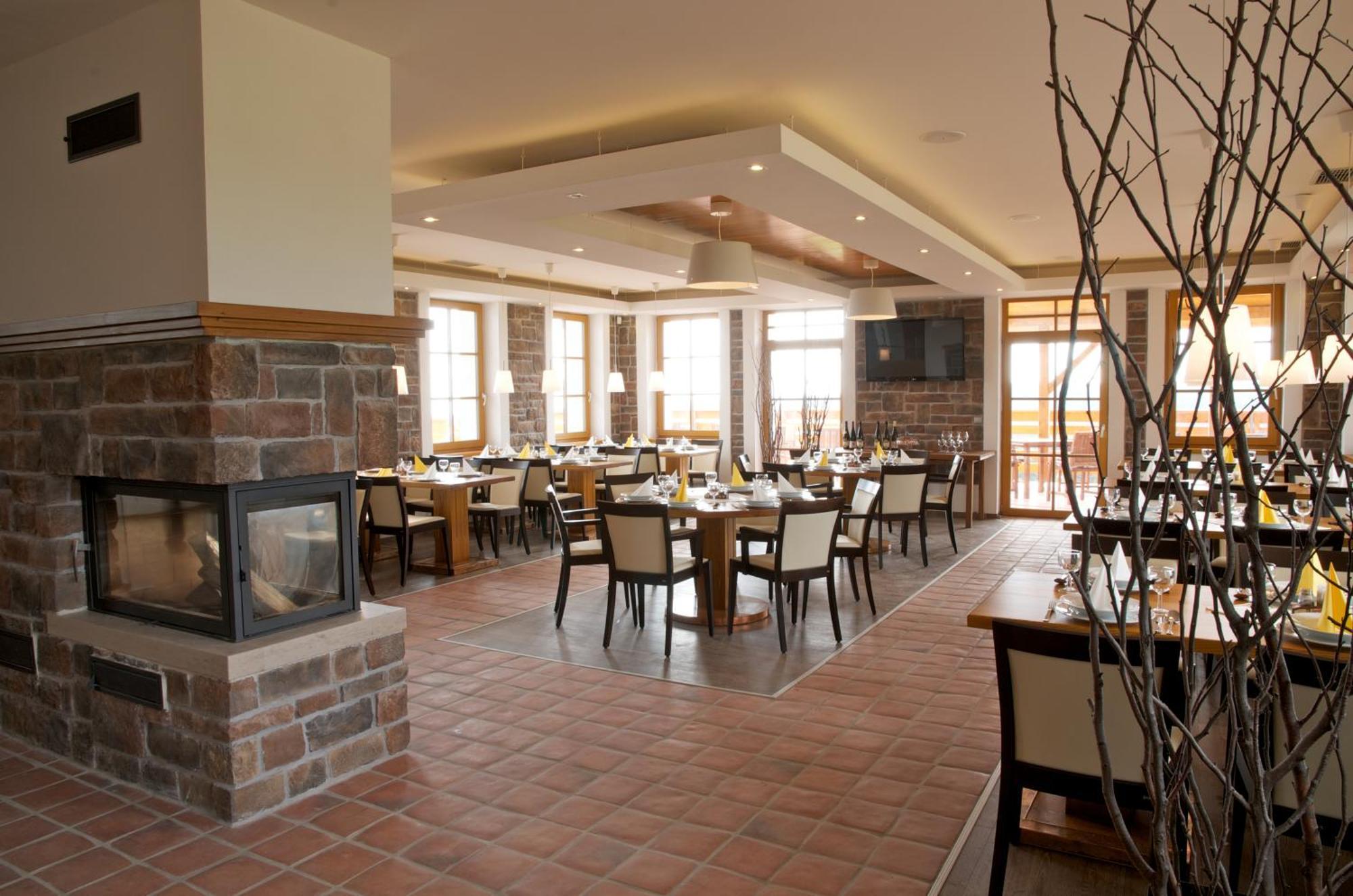 Hotel Krusnohorsky Dvur Cinovec Экстерьер фото